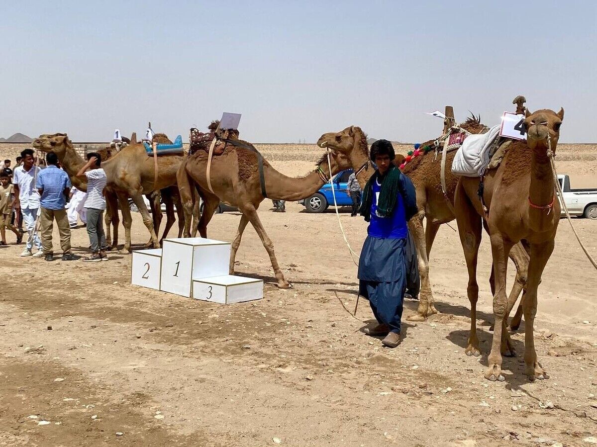 پیشتازی ورزشکاران سیستان و بلوچستان در مسابقات شتردوانی کشور پیشتازی ورزشکاران سیستان و بلوچستان در مسابقات شتردوانی کشور