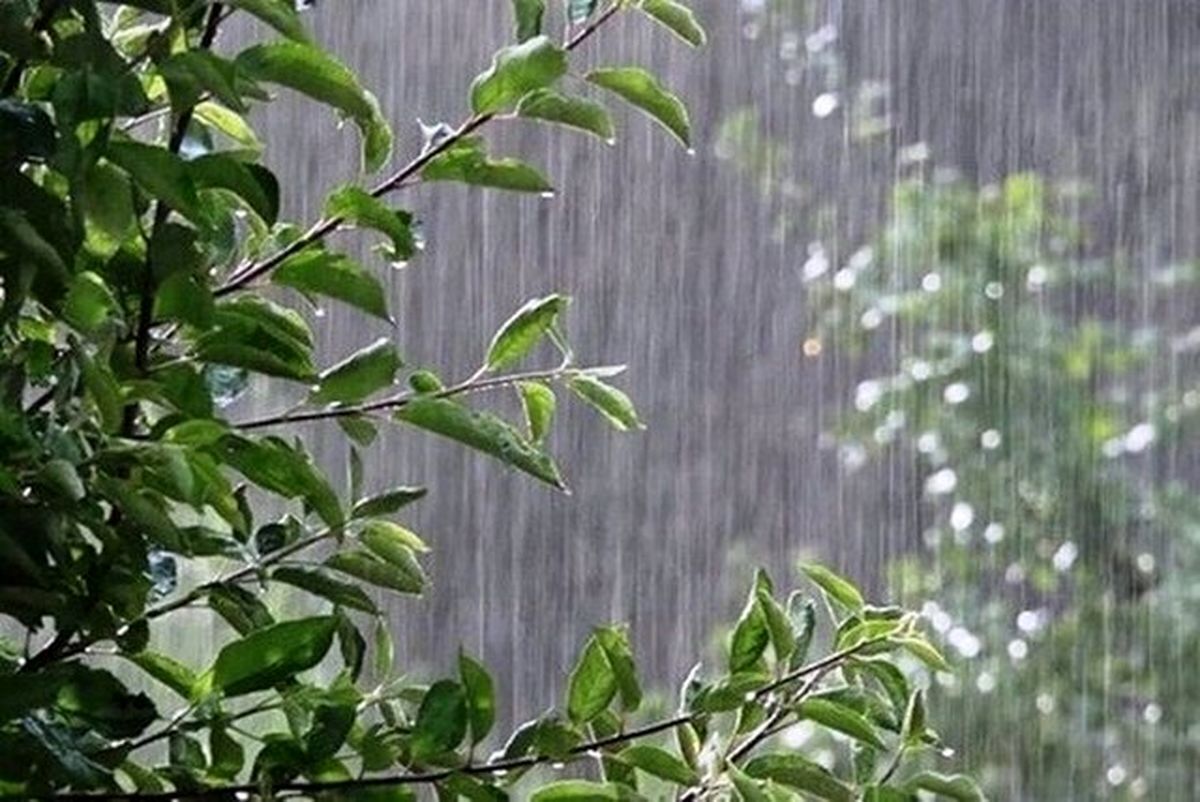 وزش باد و رگبارهای پراکنده در مناطقی از شمال و شمال غرب