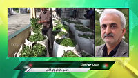 رونق صنعت چای با تولید ۱۶ هزار تن چای خشک