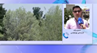 هوای ایلام، گُر می‌گیرد