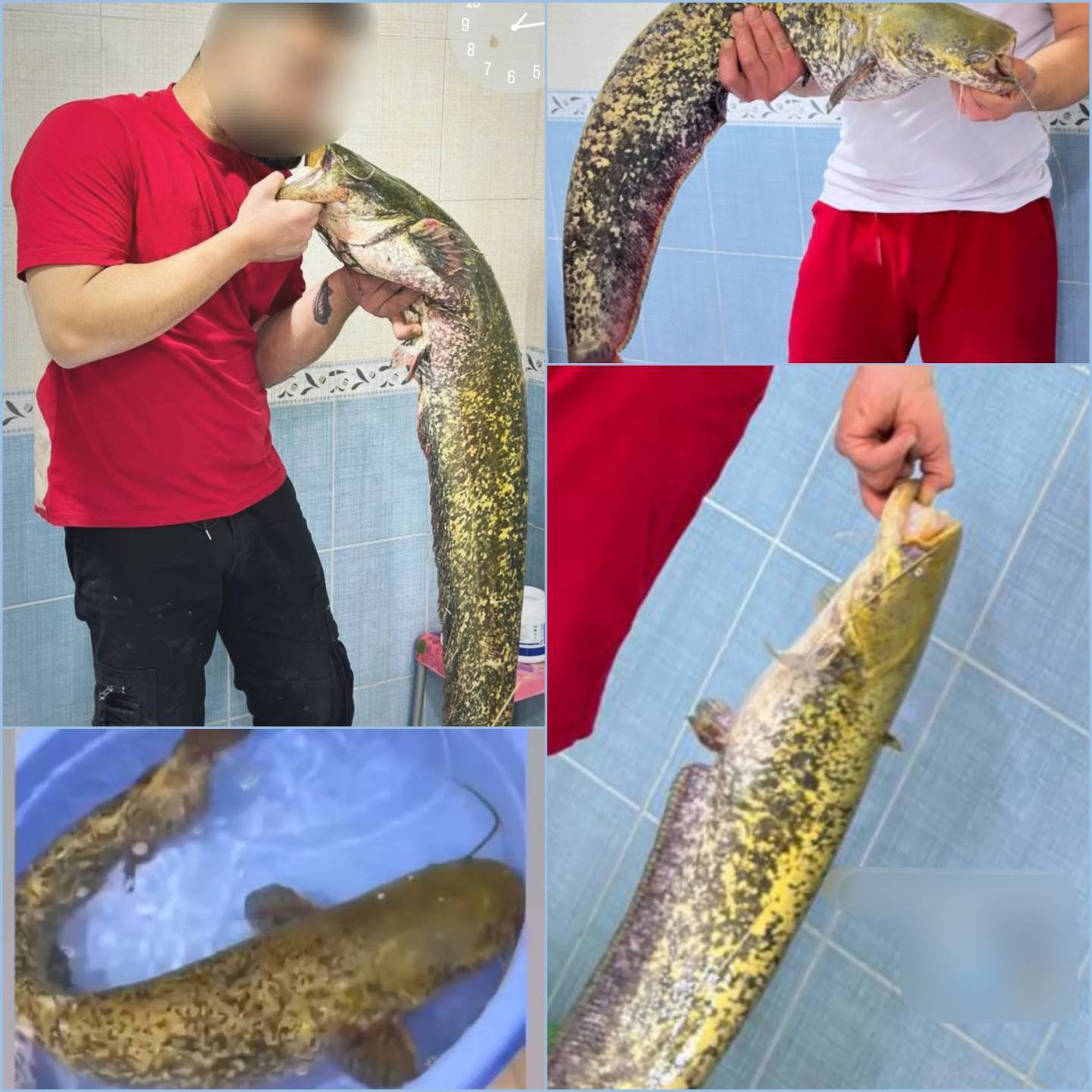 دستگیری صیاد متخلف با رصد فضای مجازی در میاندوآب