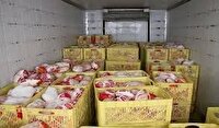 مرغ‌هایی که به مقصد نرسیدند