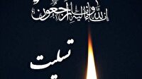 پیام تسلیت معاون علمی رئیس جمهور در پی درگذشت دکتر عباس انوری