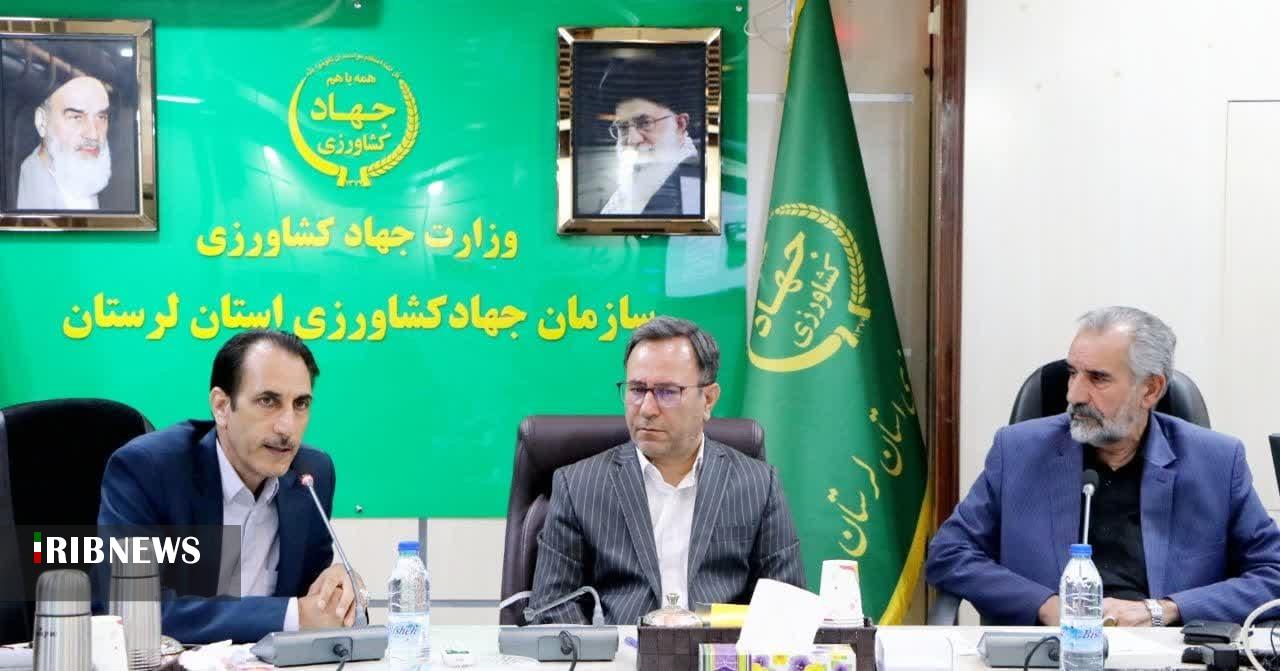لرستان در جمع ۶ استان برتر دامداری روستایی و عشایری کشور لرستان در جمع ۶ استان برتر دامداری روستایی و عشایری کشور