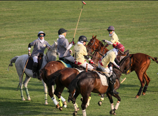 رقابت جذاب چوگان در بخش بانوان رقابت جذاب چوگان در بخش بانوان