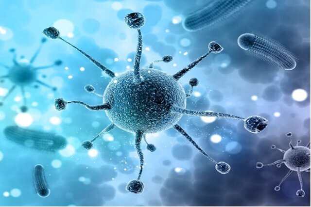 تولید نخستین ویروس آنکولایتیک مهندسیشده در ایران برای درمان سرطان گلیوبلاستوما تولید نخستین ویروس آنکولایتیک مهندسیشده در ایران برای درمان سرطان گلیوبلاستوما