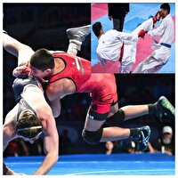 ایلام صاحب خانه کاراته و کشتی می‌شود