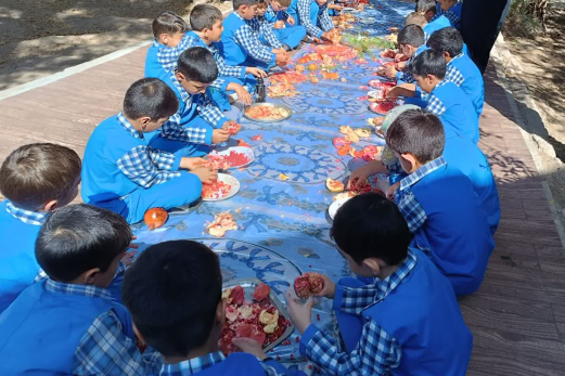 جشنواره انار در دبستان علم و ادب مهریز