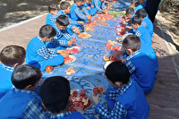 جشنواره انار در دبستان علم و ادب مهریز