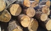 کشف ۱۲ تن چوب قاچاق در سنقروکلیایی