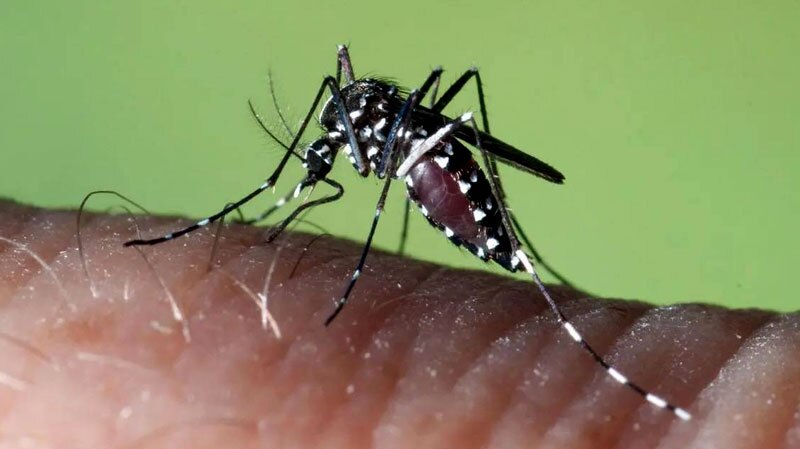 افزایش موارد بیماری تب دنگی در شرق افغانستان