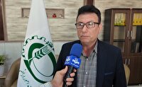 واگذاری ۸۴۷ هکتار زمین‌های استان بوشهر برای ساختگاه نیروگاه خورشیدی