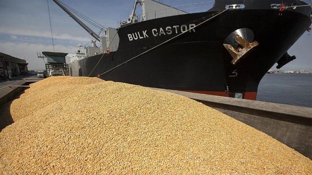 وابستگی به واردات نهاده؛ معضل اصلی صنعت دام و طیور وابستگی به واردات نهاده؛ معضل اصلی صنعت دام و طیور