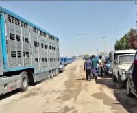 گلایه رانندگان وانت بار‌ در اروندکنار و چوئبده