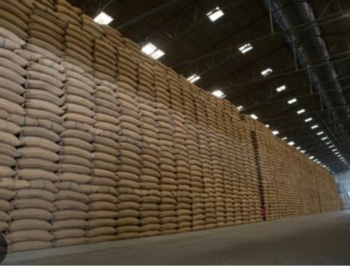 آغاز عرضه برنج پاکستانی در بازار خراسان رضوی  از ده روز آینده