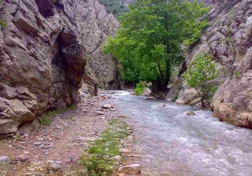 آبهای مرزی مشهد و خراسان رضوی را به راحتی از دست میدهیم آبهای مرزی مشهد و خراسان رضوی را به راحتی از دست میدهیم