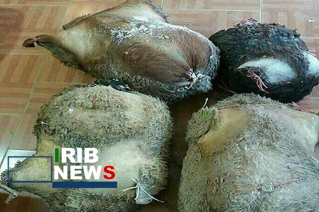 ثبت ملی سه محصول لبنی بومی خراسان شمالی در فهرست ناملموس کشور