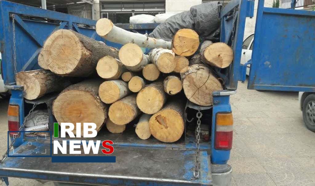 کشف هشت تن هیزم جنگلی در اردبیل