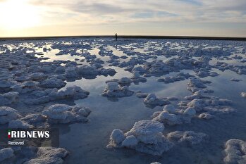 عکس‌های منتخب خبری جهان / ۴ آذر ۱۴۰۴