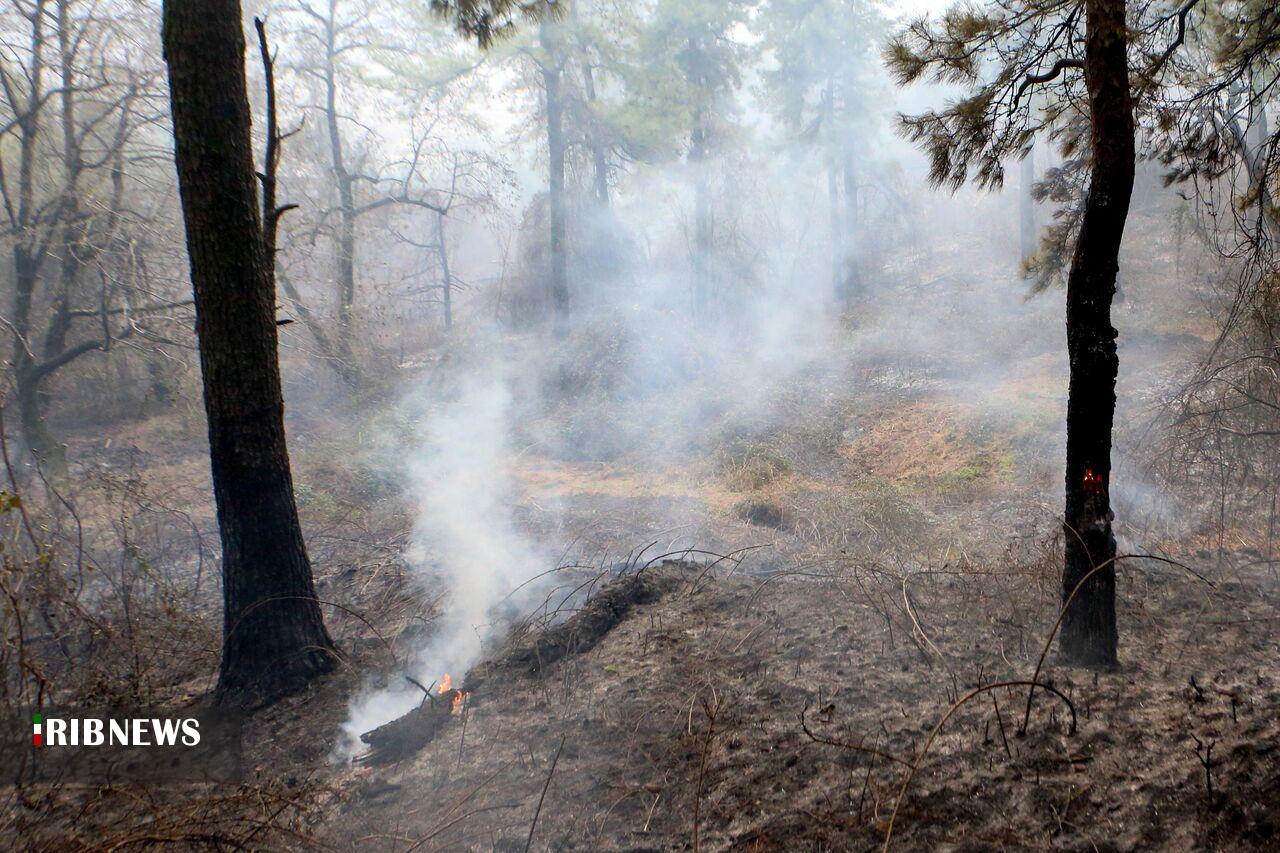 آتش دوباره بر جان جنگل دیزمار