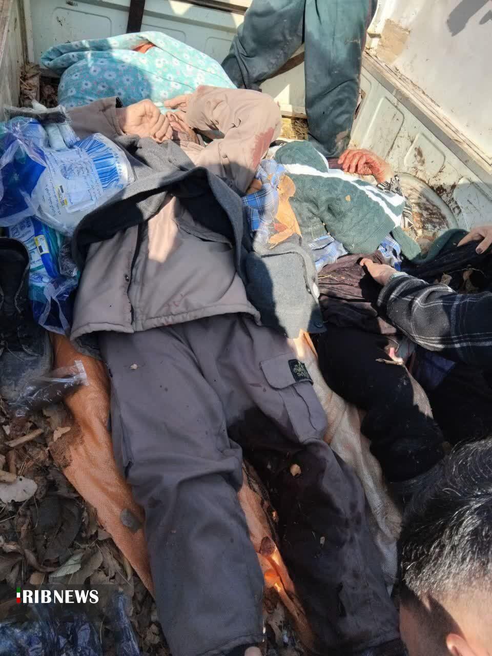 حمله گراز وحشی به اهالی روستای قوشخانه فاروج