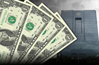 اقلام مورد تایید بانک مرکزی برای تخصیص ارز وارداتی اعلام شد