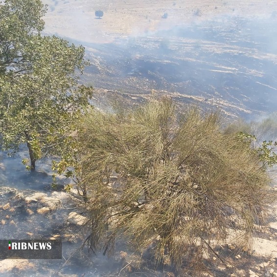 مهار آتش سوزی در ارتفاعات خائیز کهگیلویه