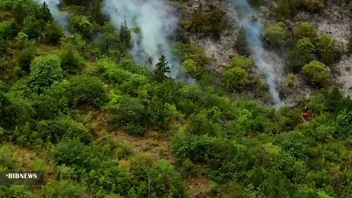 آتش سوزی جنگل بر اثر خطای انسانی