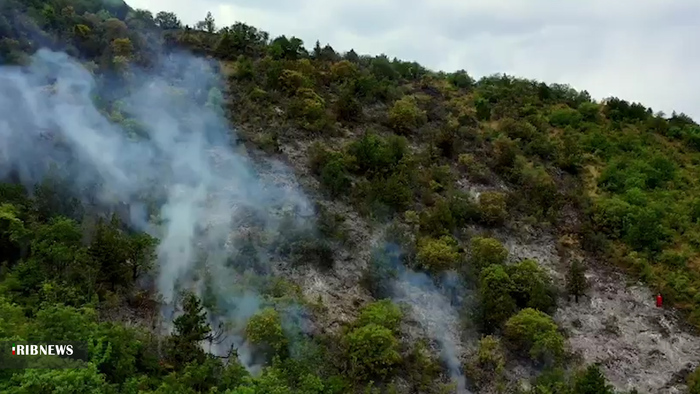 آتش سوزی جنگل بر اثر خطای انسانی